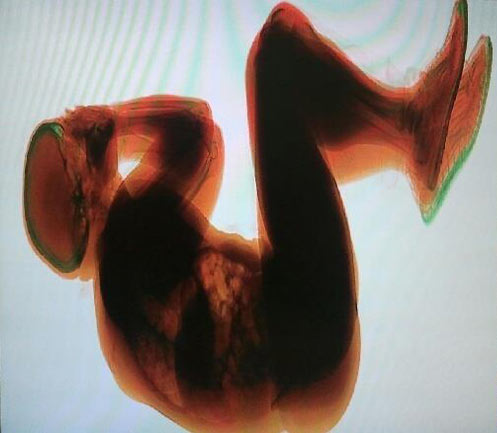 Photo source: La Repubblica